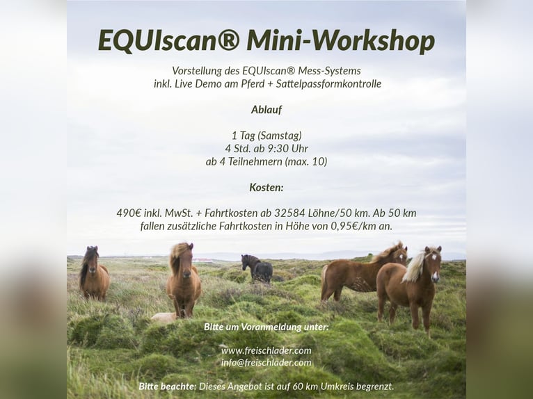 Workshops Sattelpassform(kontrolle)
