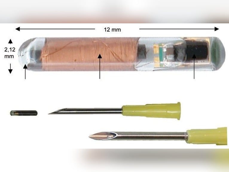 Sécurité maximale pour la selle et l’équipement : HEIMDALL – Protection contre la manipulation, pas 