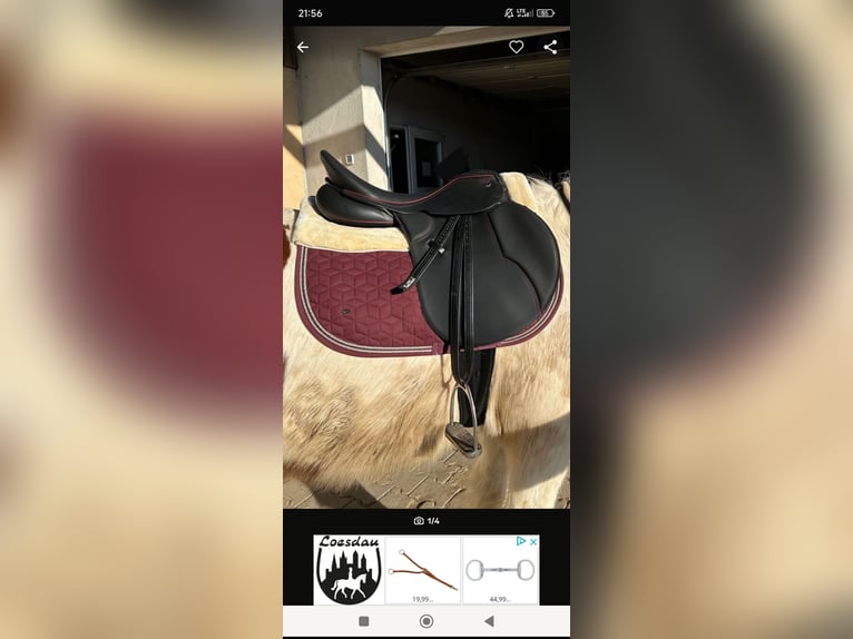 Selle Kieffer presque neu, 17 pouces