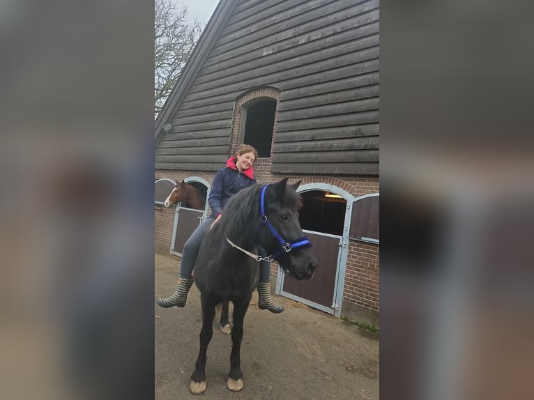‼️Recherche cheval à soigner‼️