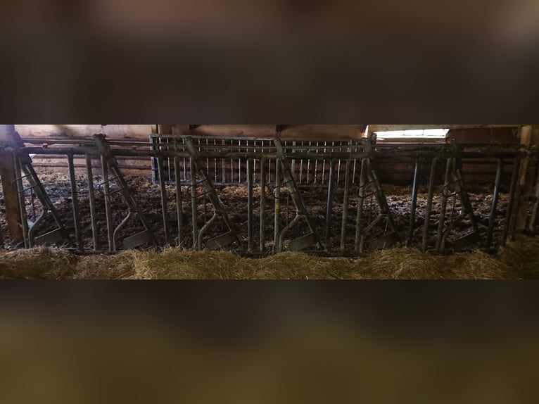 Barrière d'alimentation automatique Patura