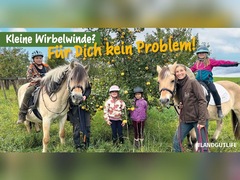 Commence ton job d'été au Haras du Fjord !