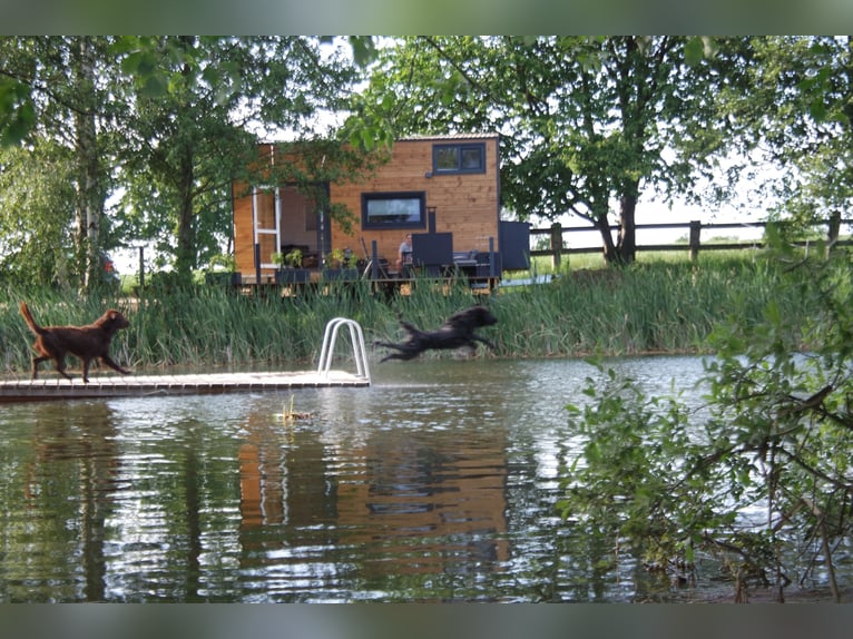 Assistent(in) der Geschäftsführung: Wohnen auf Reitanlage und Arbeiten Ferienwohnungen, TinyHouses