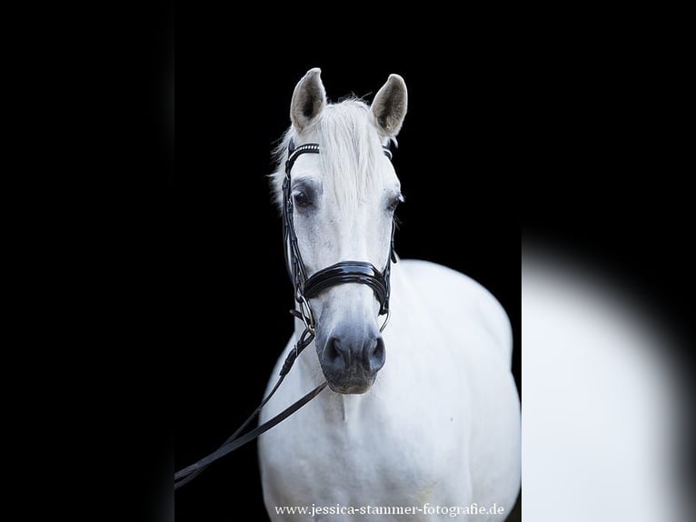 Jeune passionnée (passionné) d’équitation