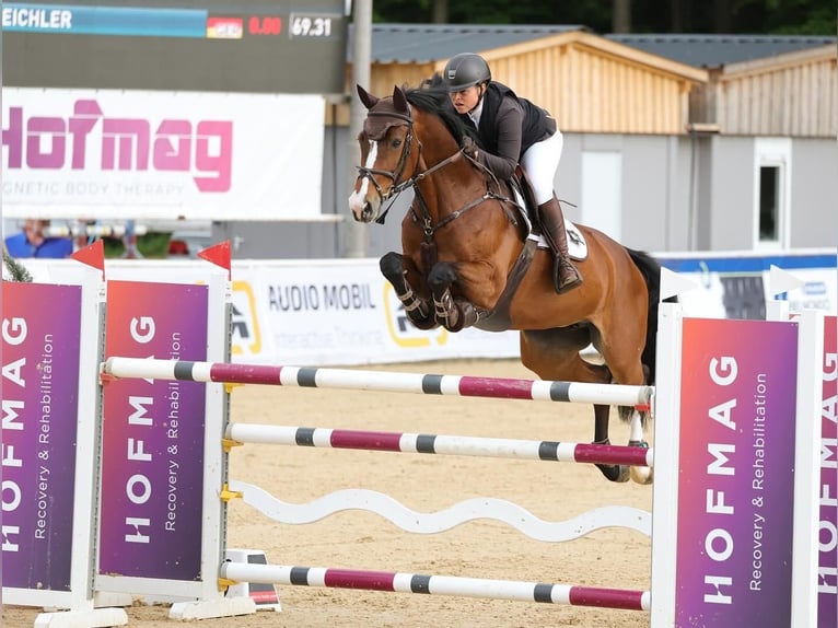 Espace de formation / Dressage