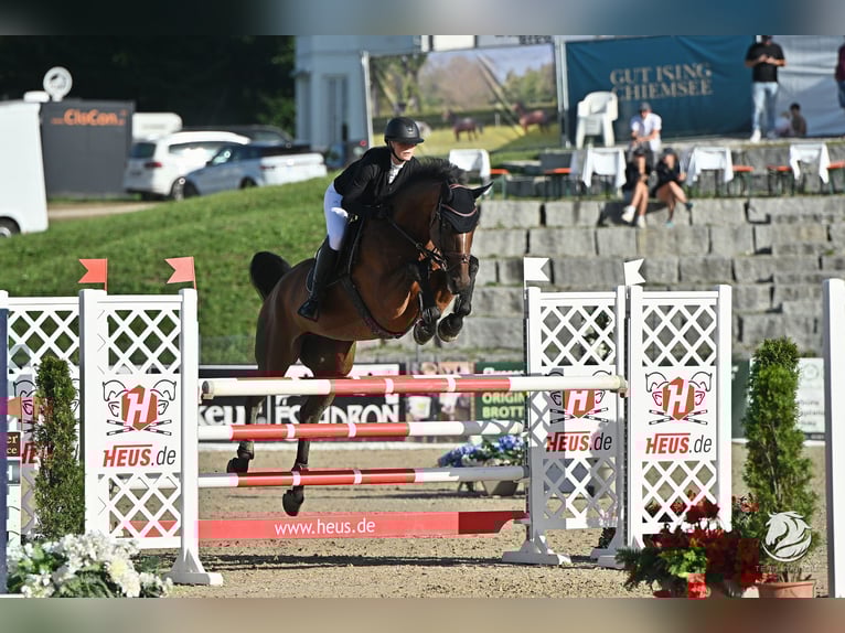 Places de débourrage disponibles