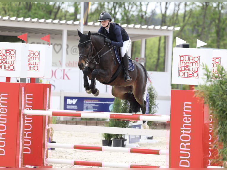 Places de débourrage disponibles