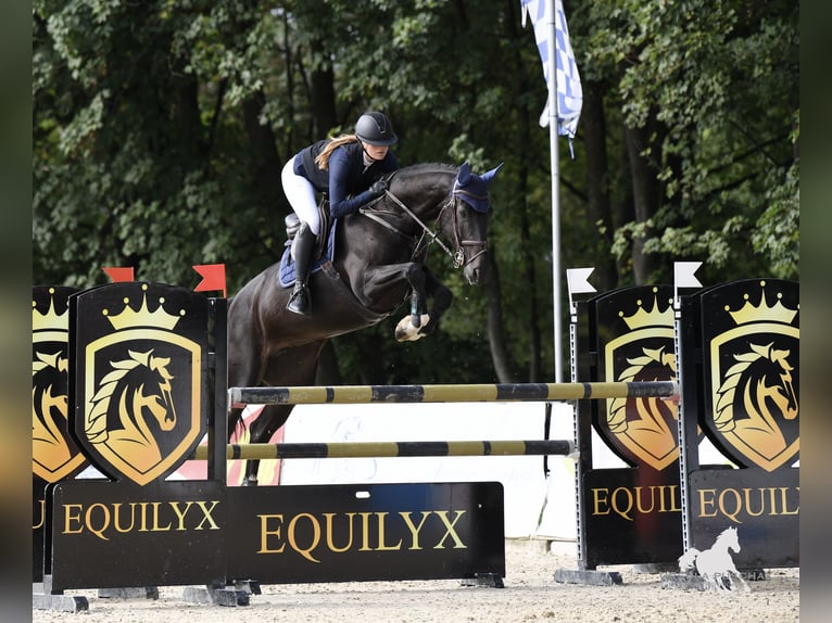 Places de débourrage disponibles