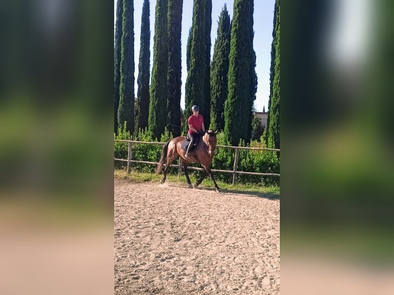 Expérience à l'étranger en Toscane