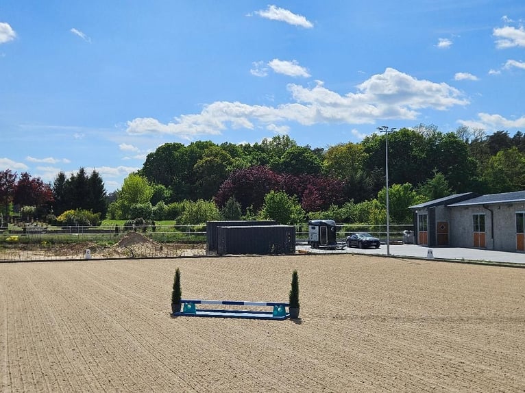 Poste à pourvoir : un emploi de rêve dans un pensionnat privé pour chevaux !