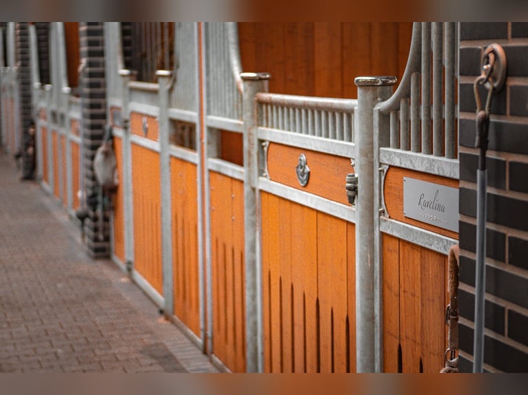 Poste à pourvoir : un emploi de rêve dans un pensionnat privé pour chevaux !