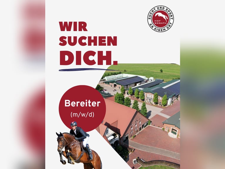 Team Sosath sucht Bereiter/in zur Verstärkung