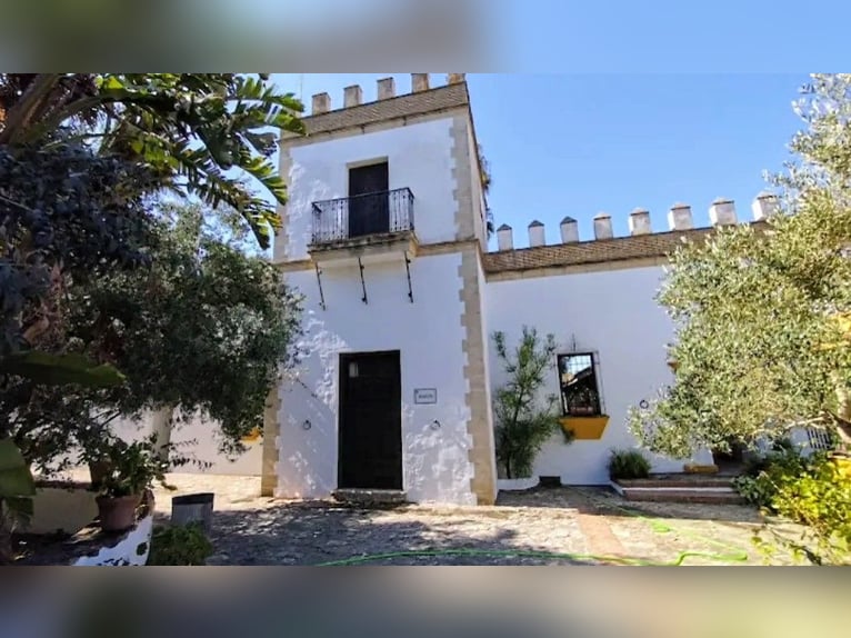 Randonnée avec mulet et âne en Andalousie ! 🇪🇦