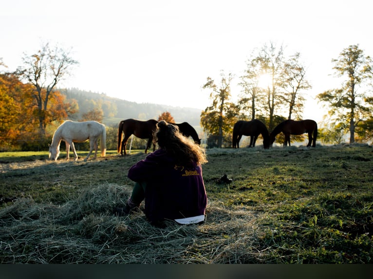 🐣 DERNIÈRE MINUTE : Votre propre cheval pendant les vacances de Pâques ! 🐴