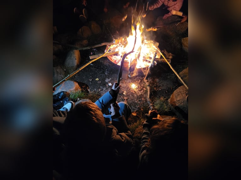 Reiterferien auf dem Reiterhof Lüneburger Heide