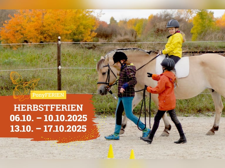 Reiterferien „Herbstzauber“