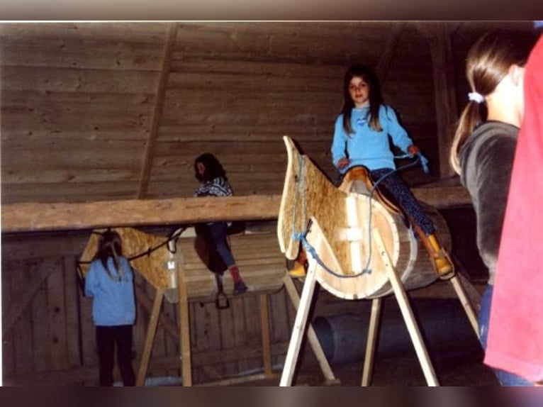 Stages d’équitation pendant les vacances de Pâques / en été pour filles à partir de 8 ans. Allgäu, B