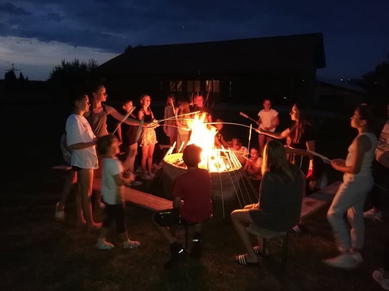 Stages d’équitation pendant les vacances de Pâques / en été pour filles à partir de 8 ans. Allgäu, B