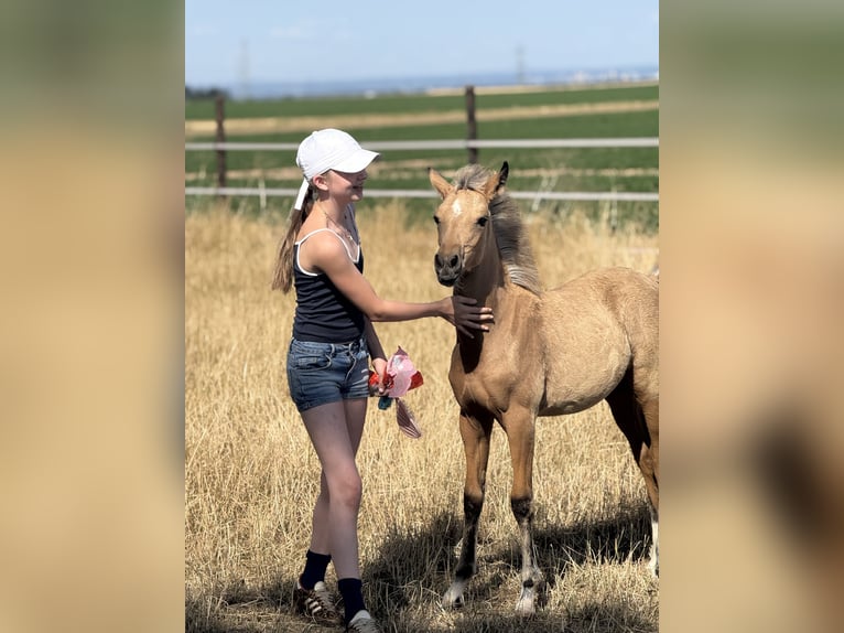 Vacances au centre équestre - Équitation