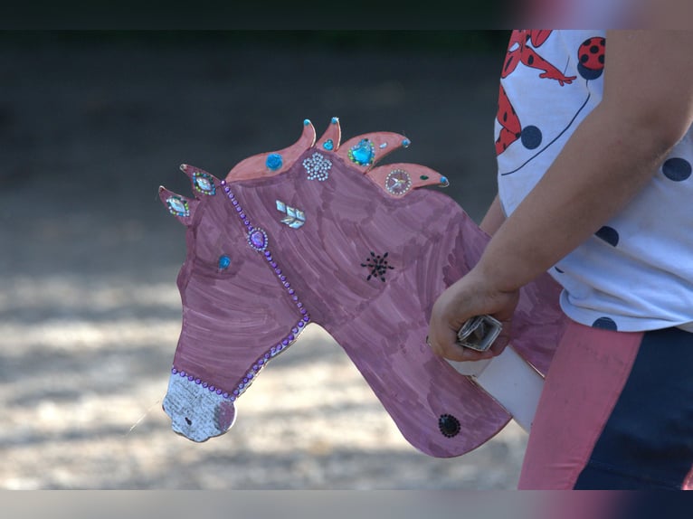 Vacances équestres inoubliables dans un centre d’élevage de poneys de sport