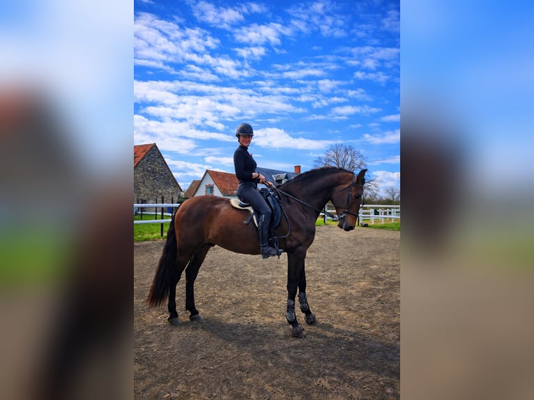 Escapade en famille au cœur d’un haras – nature, chevaux & bien-être