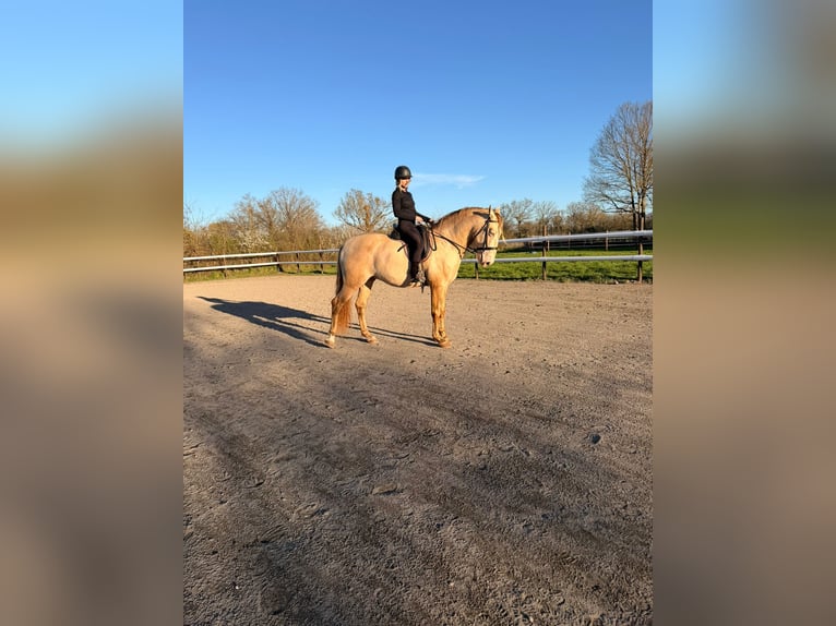 Escapade en famille au cœur d’un haras – nature, chevaux & bien-être