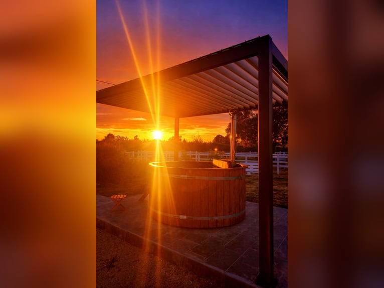 Escapade en famille au cœur d’un haras – nature, chevaux & bien-être