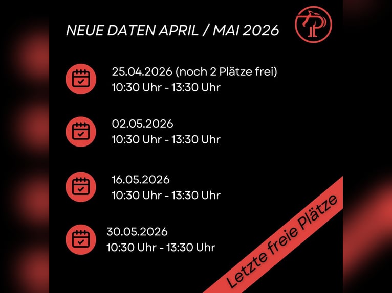 Polo Schnuppertag – Erlebe den Polosport hautnah!