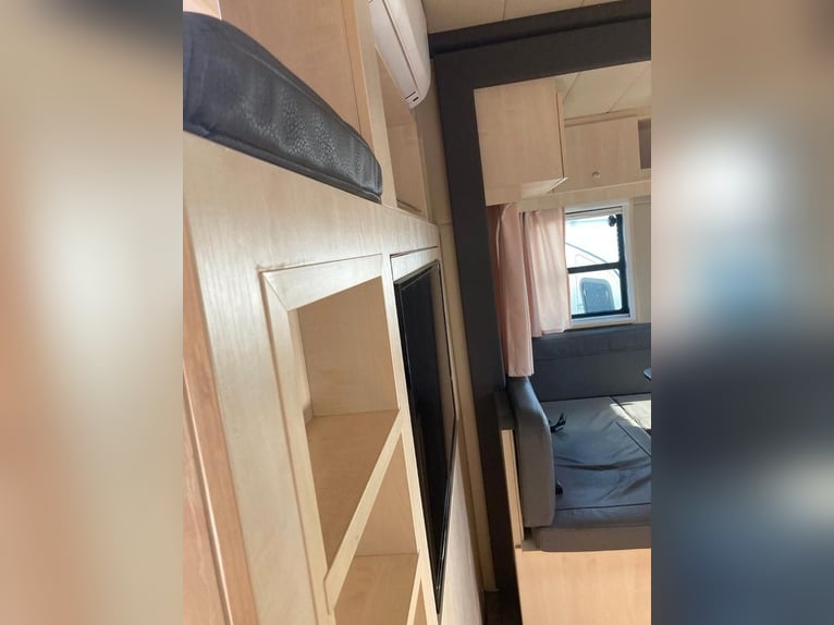 Camion de transport de chevaux MAN TGM, capacité 4-5 chevaux, 14 tonnes, année 2017, 290 ch, occasio