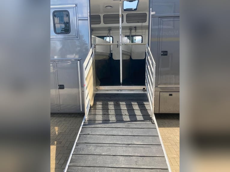 Camion de transport de chevaux MAN TGM, capacité 4-5 chevaux, 14 tonnes, année 2017, 290 ch, occasio