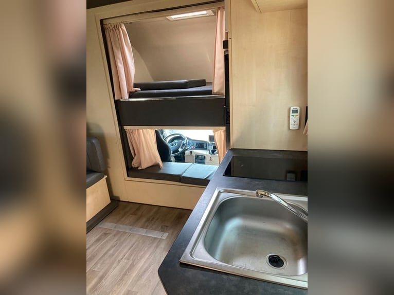 Camion de transport de chevaux MAN TGM, capacité 4-5 chevaux, 14 tonnes, année 2017, 290 ch, occasio