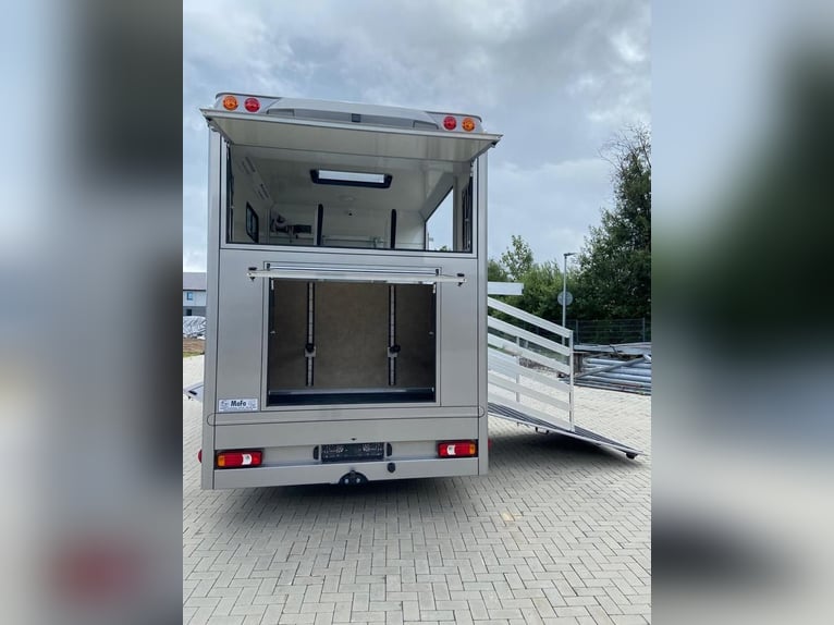 Transporteur pour chevaux Iveco, neuf, pour 2 à 3 chevaux