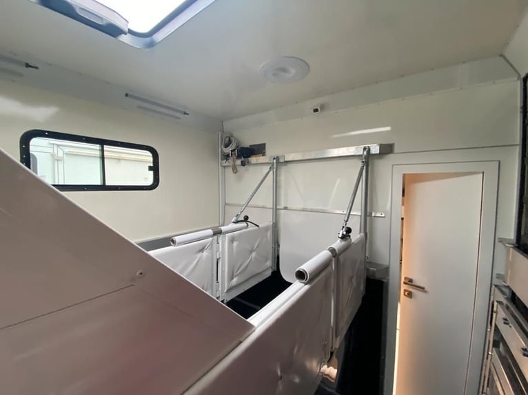 Transporteur pour chevaux Iveco, neuf, pour 2 à 3 chevaux