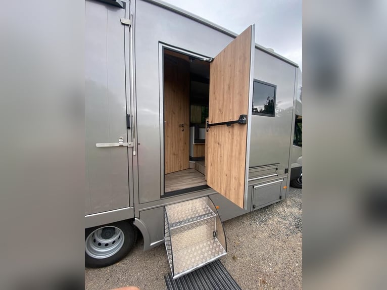Transporteur pour chevaux Iveco, neuf, pour 2 à 3 chevaux