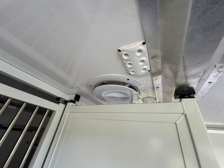 Transporteur pour chevaux Mercedes Sprinter 200 ch, aménagement 2026, 5 places