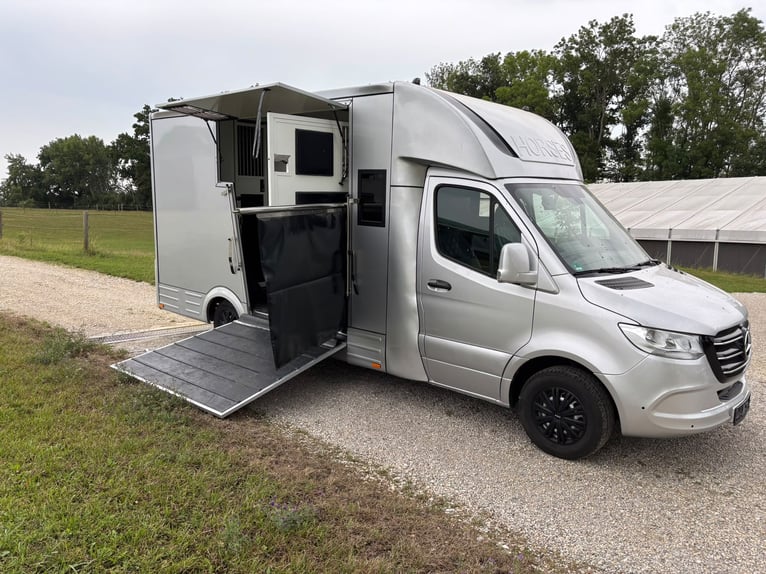Transporteur pour chevaux Mercedes Sprinter 200 ch, aménagement 2026, 5 places