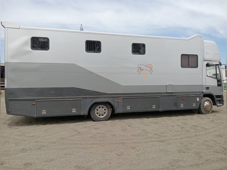 Camion avec logement pour 6 chevaux