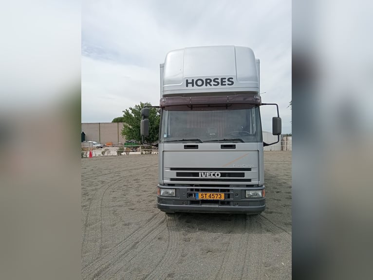 Camion avec logement pour 6 chevaux
