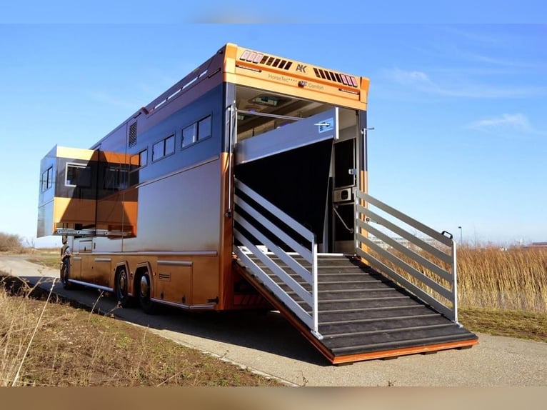 Camion pour chevaux en peinture spéciale