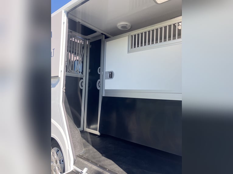 Camionnette pour chevaux Theault - A LOUER - Braives