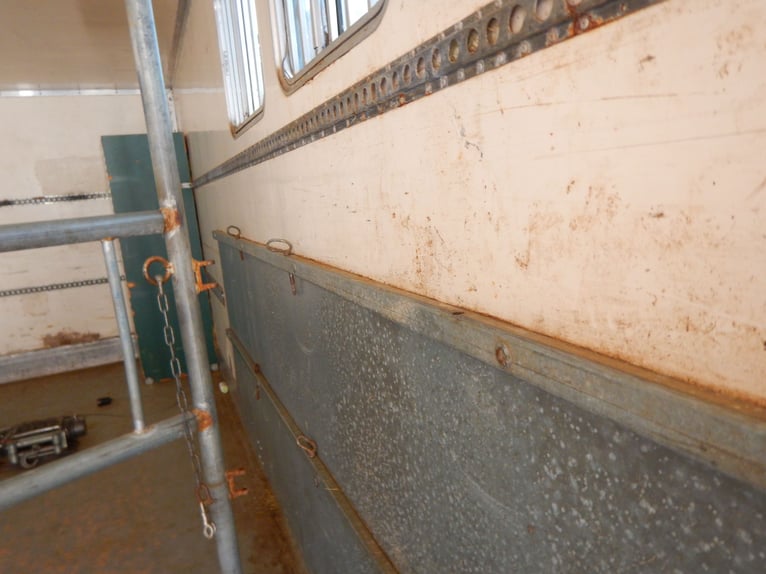 Cloisons pour camions pour chevaux