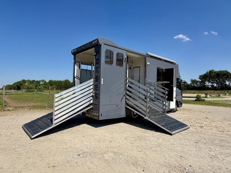 Camion de transport de chevaux MAN TGL 8.180, capacité pour 4 chevaux, cabine habitable, automatique