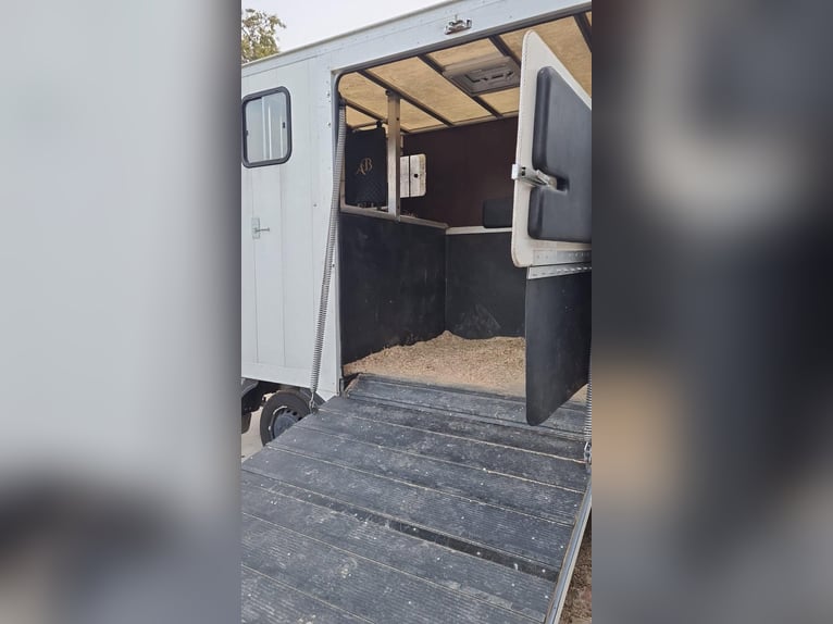 Camion pour 2 chevaux, modèle Traylona Renault Master