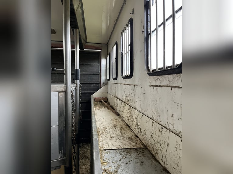 Camion pour chevaux de 7,5 tonnes à vendre