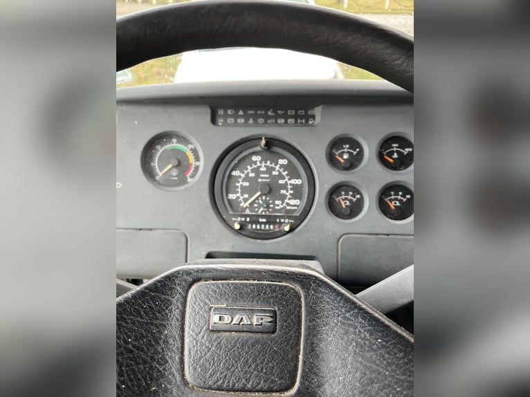 Camion pour chevaux de 7,5 tonnes à vendre