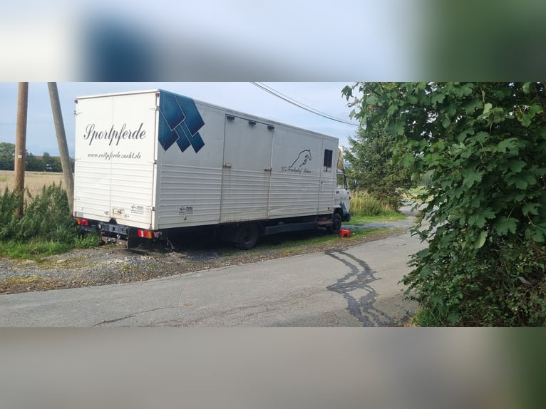Camion pour chevaux MAN avec tente de boxe