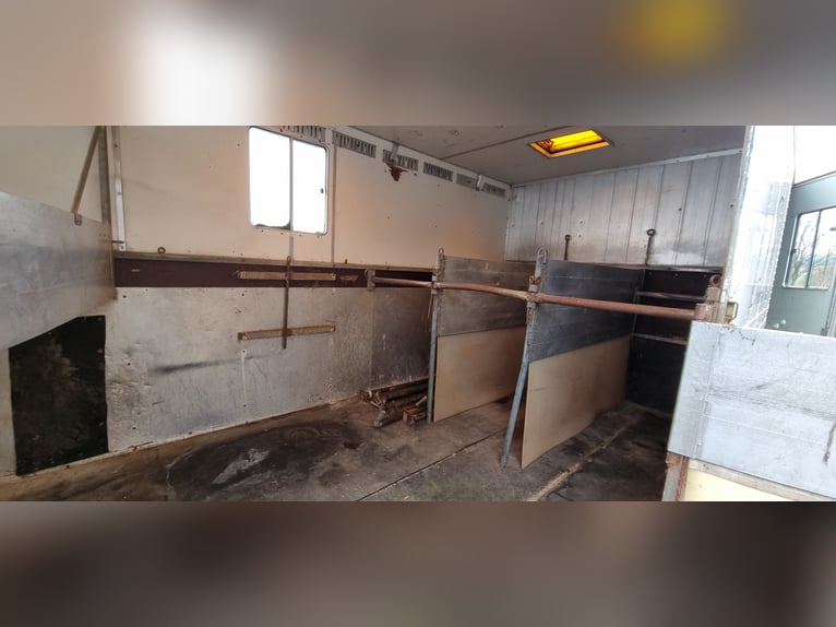 Camion pour chevaux MAN avec tente de boxe