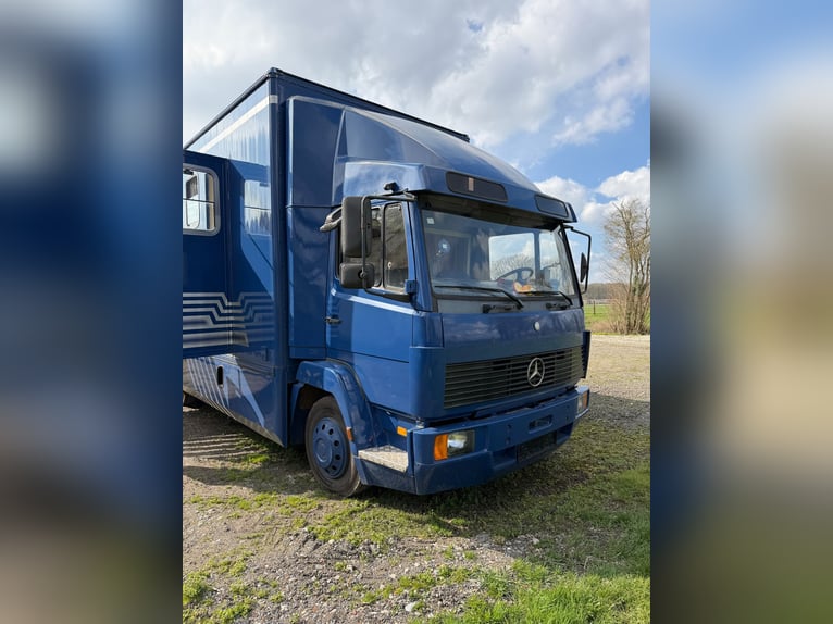 Camionnette pour chevaux Mercedes 814 avec homologation H pour 4 chevaux. Contrôle technique récent.