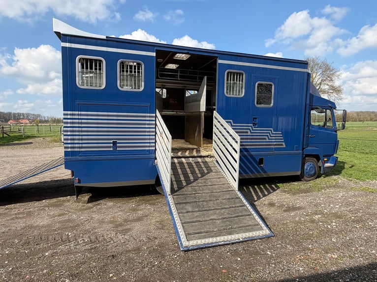Camionnette pour chevaux Mercedes 814 avec homologation H pour 4 chevaux. Contrôle technique récent.