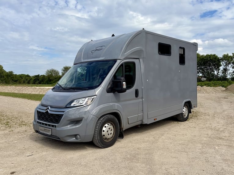 Citroën Jumper transporteur pour 2 chevaux, véhicule d'occasion, 3 places